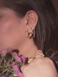 Halo Earrings